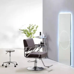 WL-S2265 | Styling Chair -salon wholesaler store wl s2265 styling chair salon chairs ssw 885693