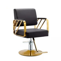 WL-S2265 | Styling Chair