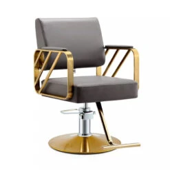 WL-S2265 | Styling Chair -salon wholesaler store wl s2265 styling chair salon chairs ssw gray and gold 318473